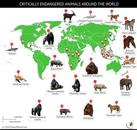 A World Of Endangered Animals 2025 𝚆𝚊𝚝𝚌𝚑 On Blu-ray
