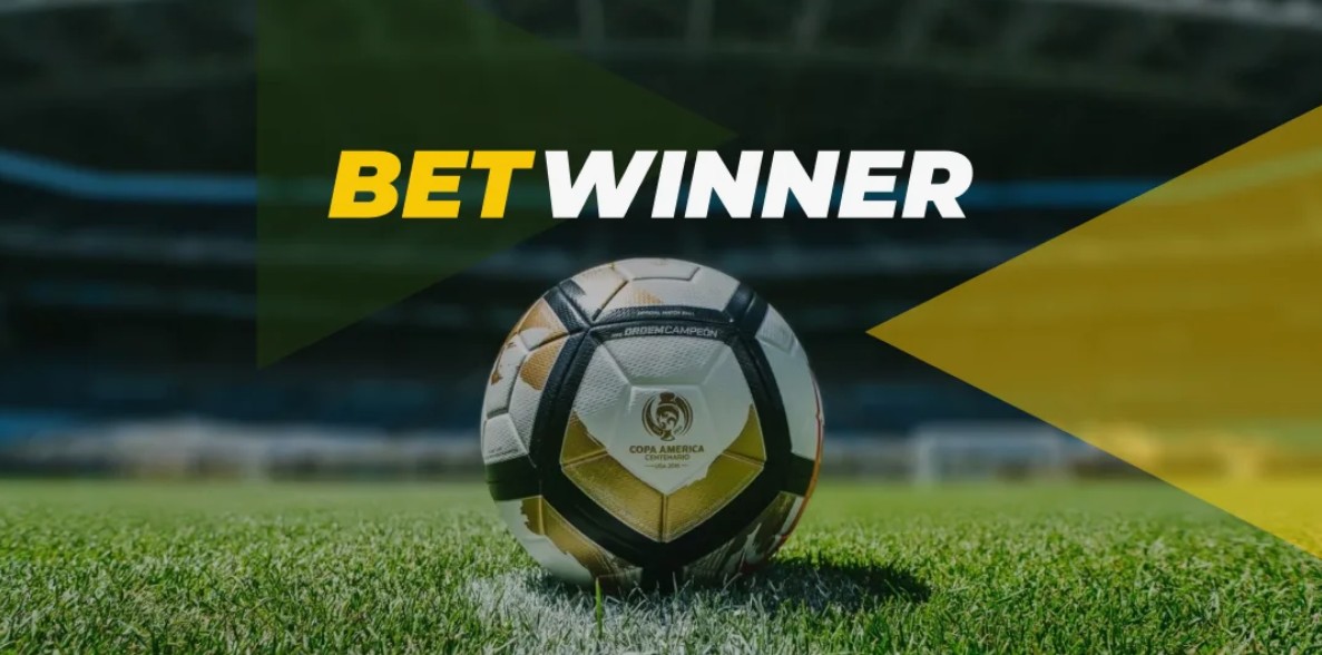 A Comprehensive Guide to Betwinner Login