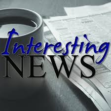 Fundación Tortuga rescata tortugas y les devuelve la libertad 3