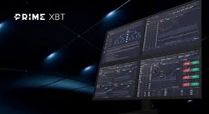 Unlock the Potential of Bonus PrimeXBT