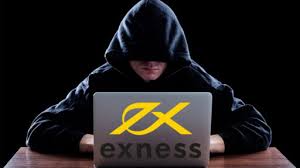 Comprehensive Insights into Exness Financial Statements Comprehensive Insights into Exness Financial Statements