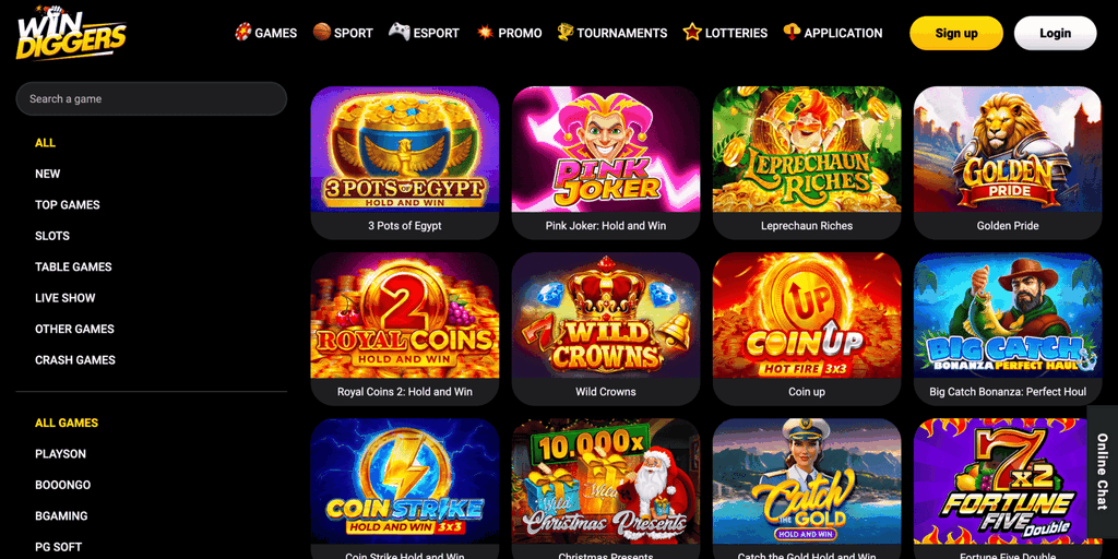 Online Online Casino Experience at Success Diggers Gambling Establishment